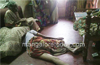 Plight of  Shaktinagar�s distraught family continues ; family head passes away